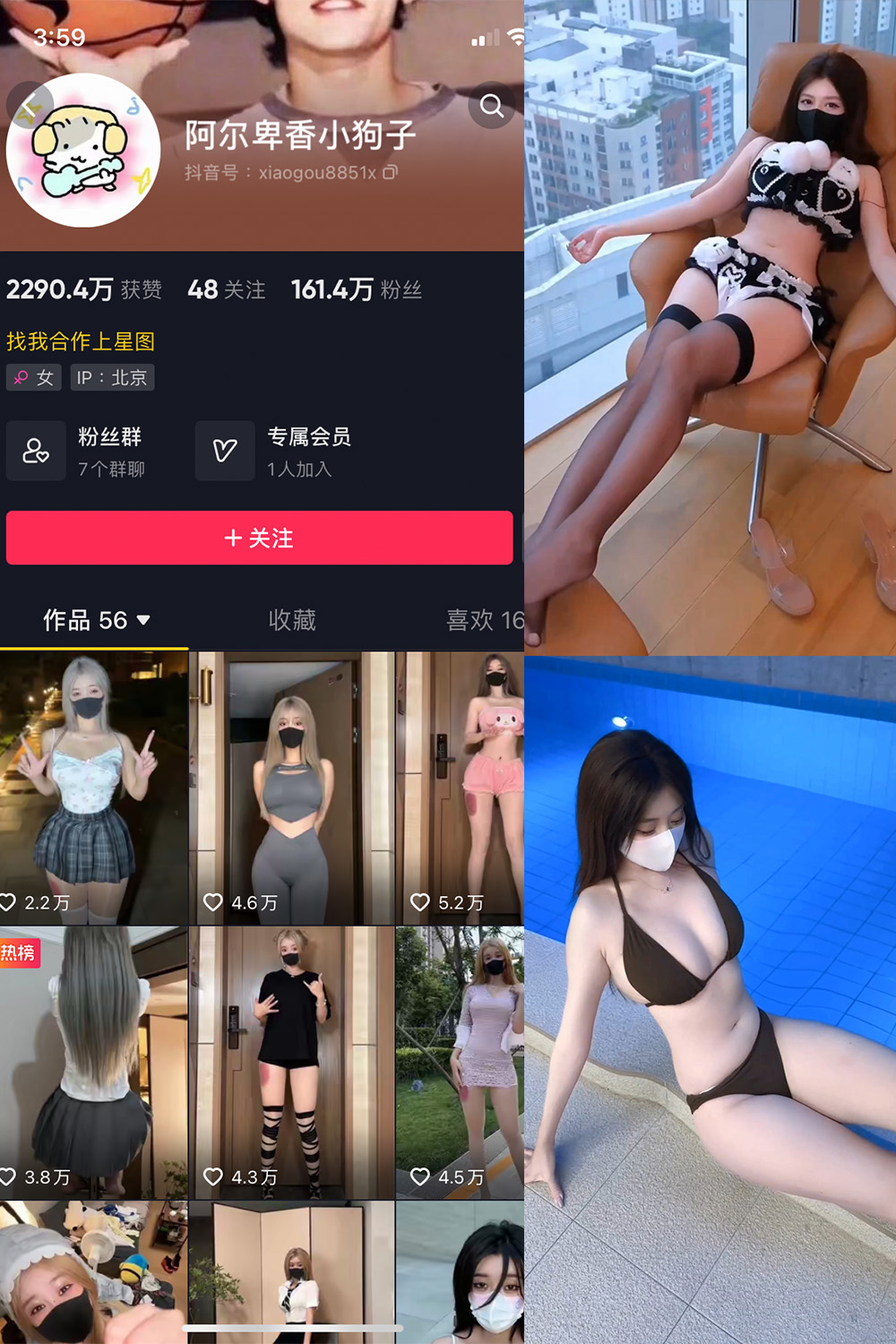 抖音 阿尔卑香小狗子 微密圈照片资源 抖音 阿尔卑香小狗子 微密圈照片资源